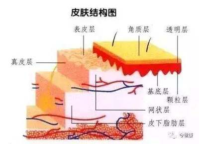 揭開角質的神秘面紗 去角質會讓皮膚變薄嗎？